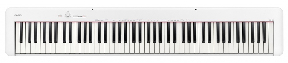 instrumenti casio
