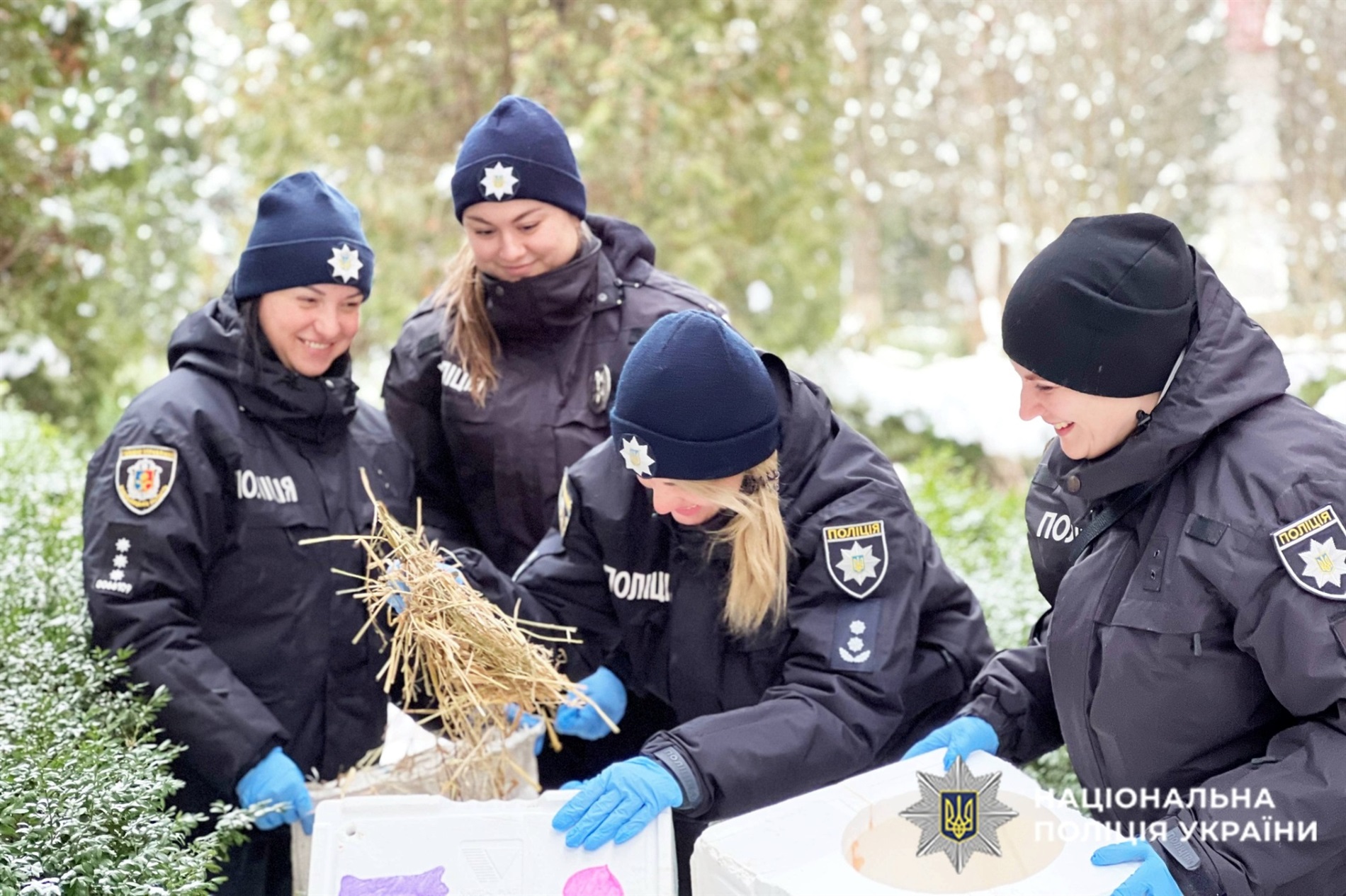 Патруль тепла для хвостиків: у Нетішині облаштували пункт незламності для бездомних чотирилапих